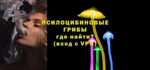 амфетамин Елизово