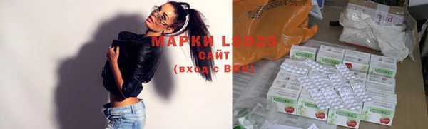 мдпв Заводоуковск