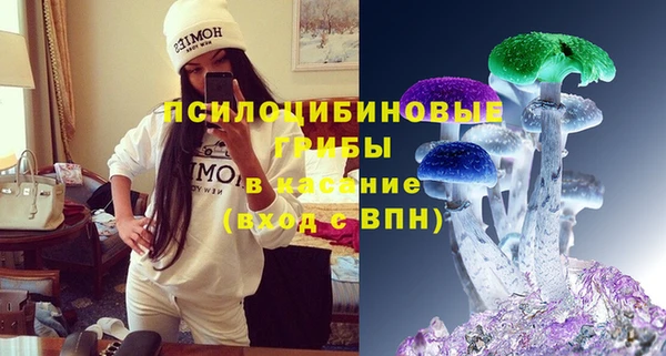 амфетамин Елизово