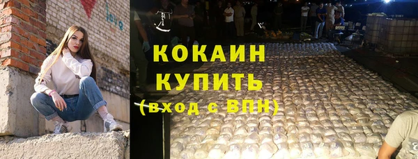 mdpv Ельня