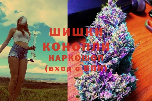 mdpv Ельня