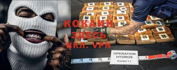 ПСИЛОЦИБИНОВЫЕ ГРИБЫ Елабуга