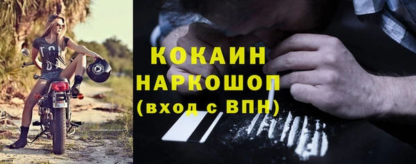 мдпв Заводоуковск