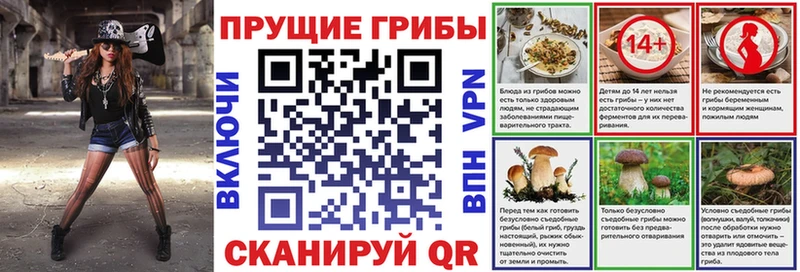 Псилоцибиновые грибы Psilocybe Сусуман